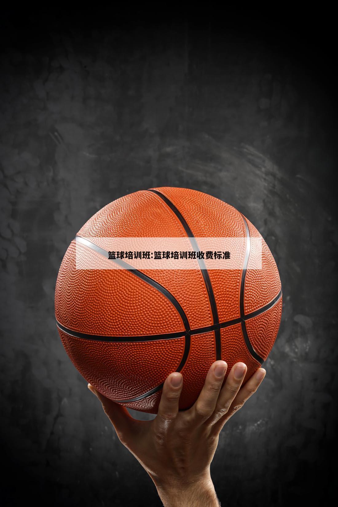 篮球培训班:篮球培训班收费标准